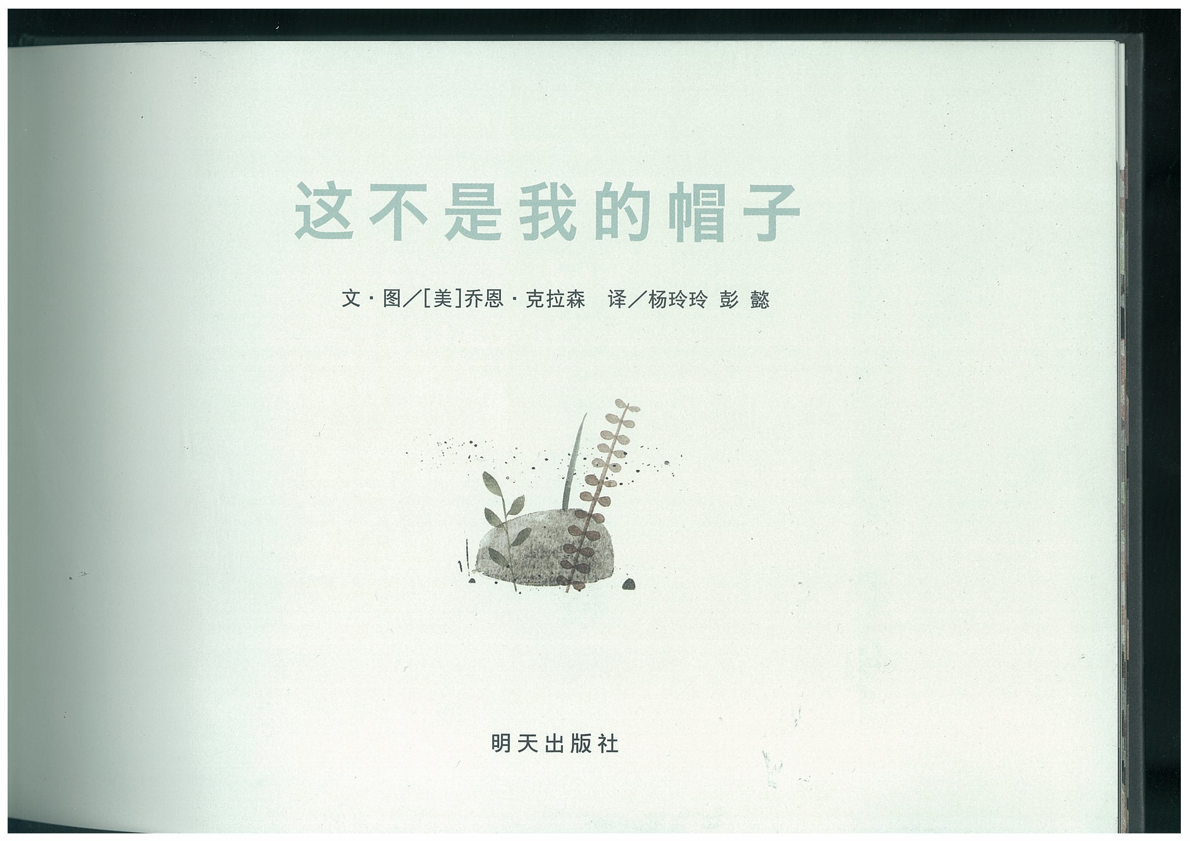 这不是我的帽子 (05),绘本,绘本故事,绘本阅读,故事书,童书,图画书,课外阅读